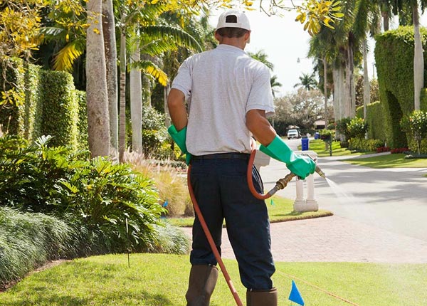 About Sterling KS Pest Control